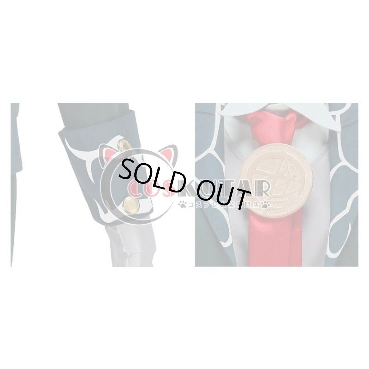 画像9: Fate Grand Order FGO 巌窟王 エドモン・ダンテス コスプレ衣装  霊基再臨 第一段階 アヴェンジャー (9)