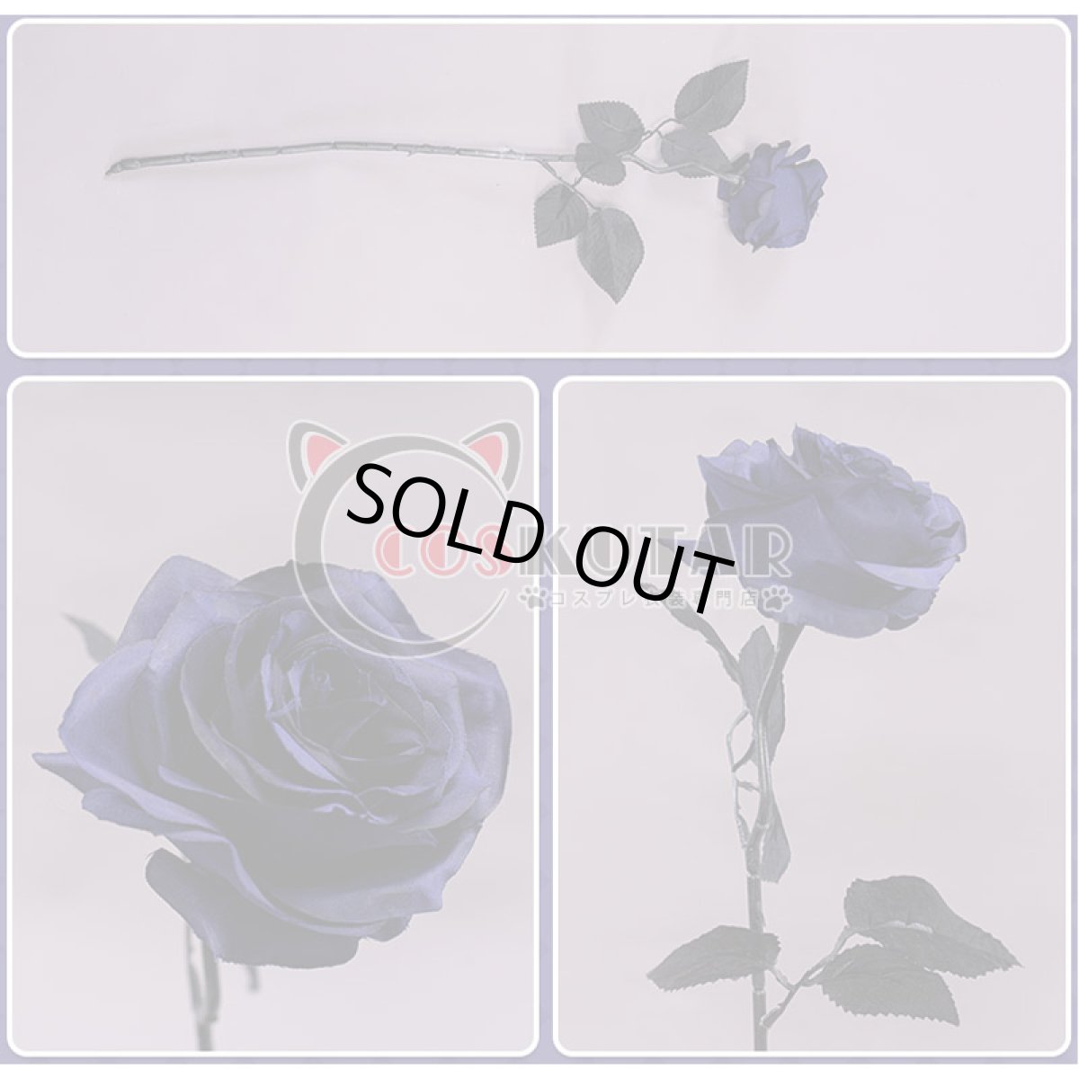 画像17: 原神 Genshin リサ ワンピース コスプレ衣装 (17)