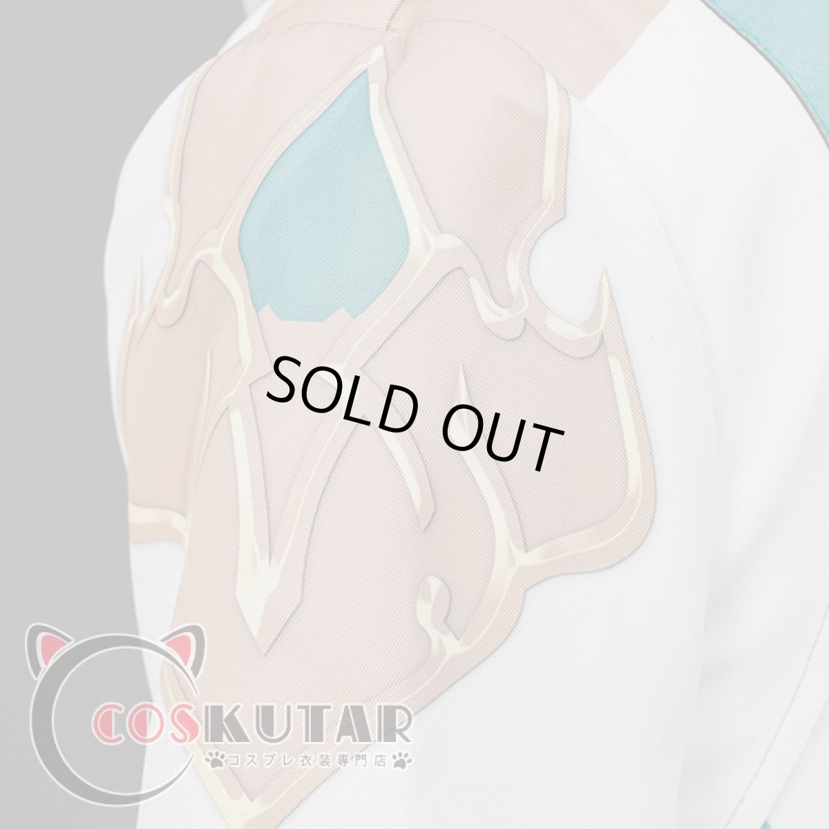 画像25: 崩壊:スターレイル 丹恒 コスプレ衣装 (25)