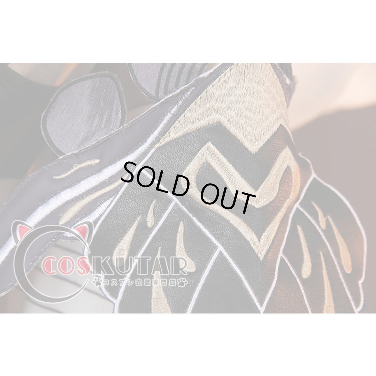 画像7: 崩壊3rd パルドフェリス コスプレ衣装 (7)