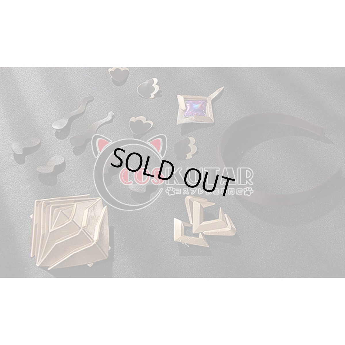 画像24: 崩壊3rd パルドフェリス コスプレ衣装 (24)