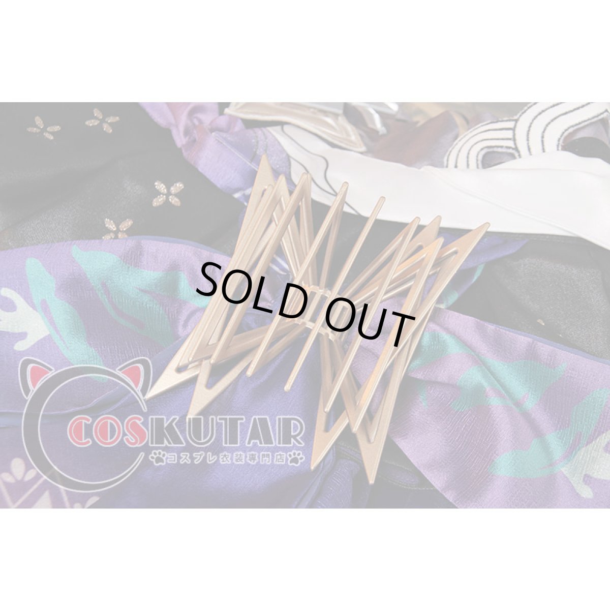 画像14: 崩壊3rd パルドフェリス コスプレ衣装 (14)